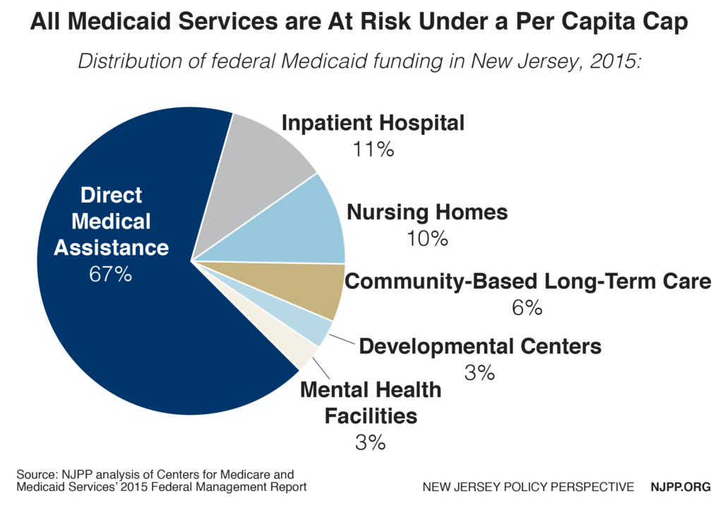 medicaid services breakdown-01