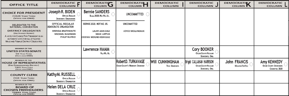 Figure 4: Ocean County 2nd Congressional District 2020 Democratic primary ballot.